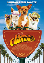 Beverly Hills chihuahua